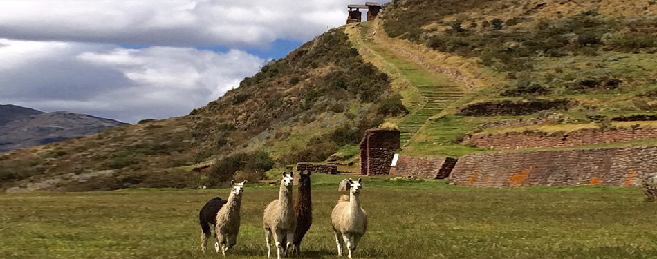 Huchuy Qosqo Trek