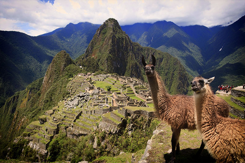 Machupicchu full day