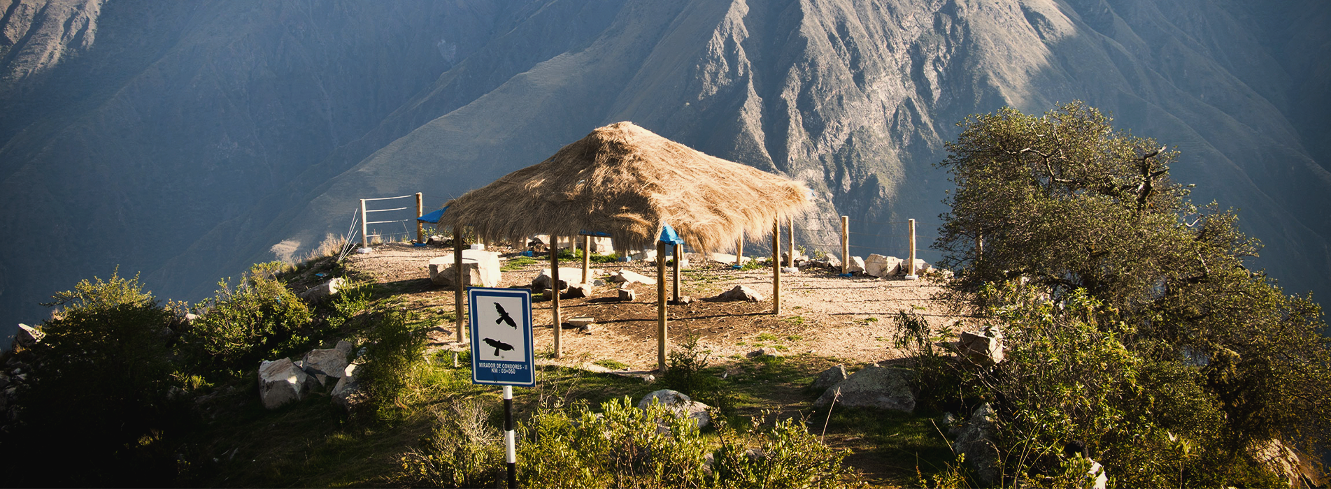 Vuelo del condor Mirador de Chonta