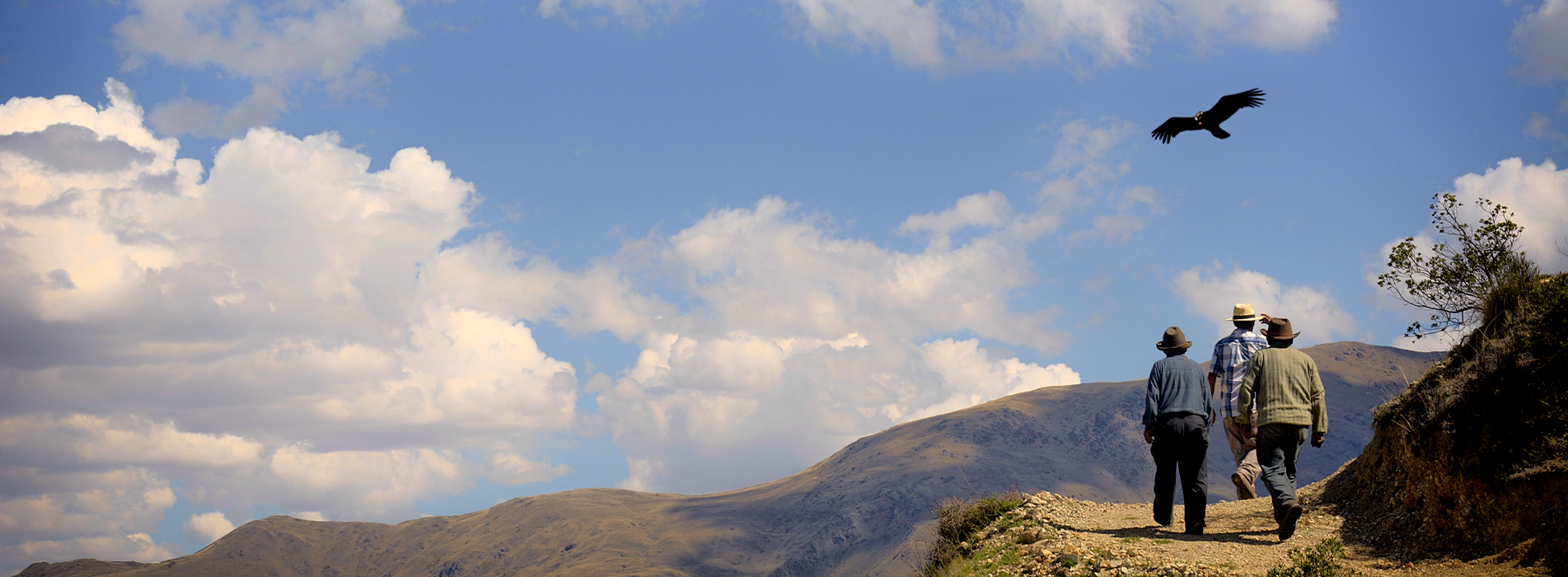 Mirador del condor andino
